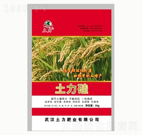 �������-�����ʘI(y��)