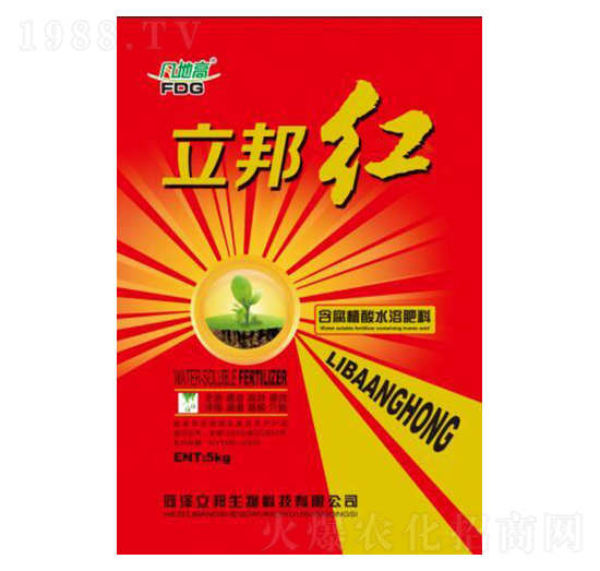 ����ֲ�����-����t-��������