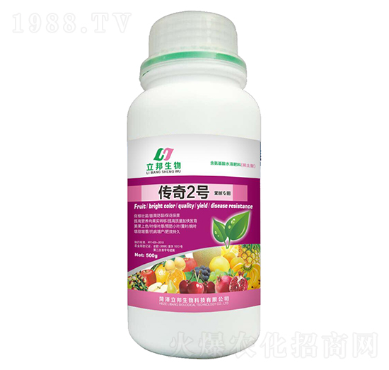 ����2̖-��������