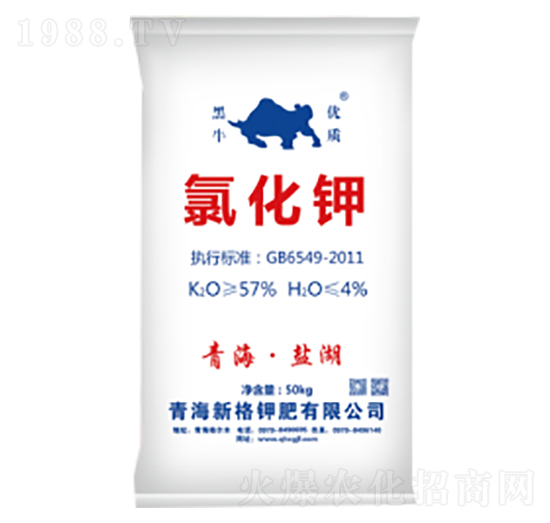 �Ȼ��-�¸�