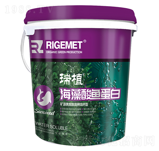 �������~(y��)����-��ֲ-���w�~��