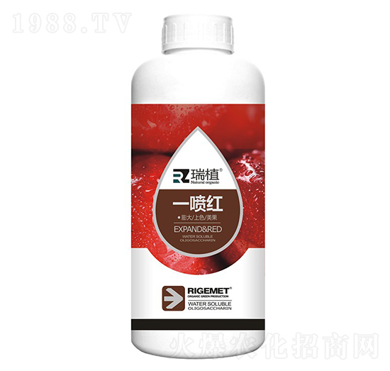 һ���t-��ֲ-���w�~��