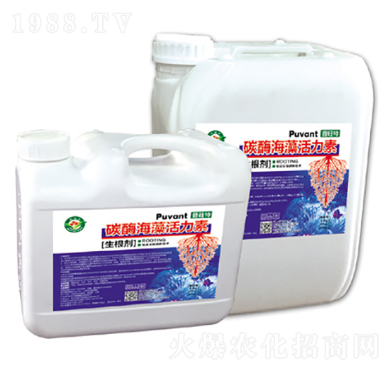 ̼ø��������أ���������-������-�W���S