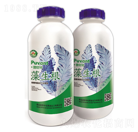 ̼ø�������������-������-������-�W���S