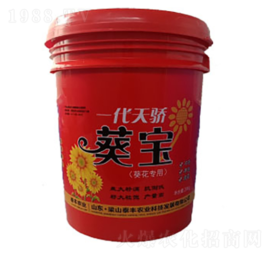 һ��������-��ɽ̩�S