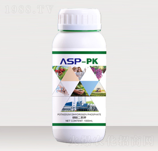 �۹Ȱ���-��ؐ��