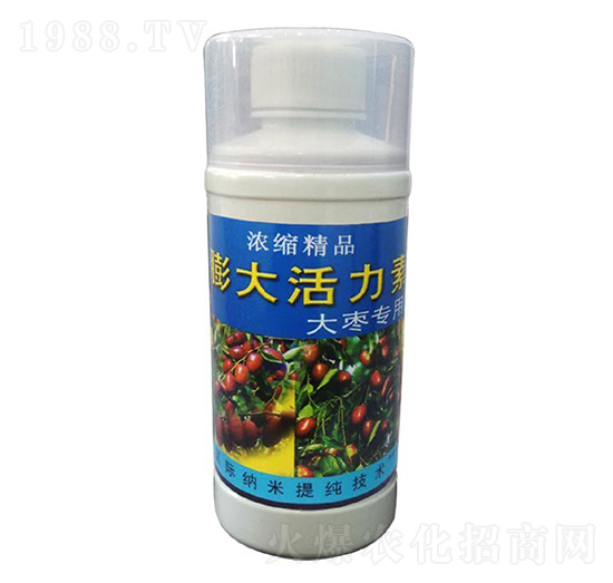 �󗗌�(zhu��n)��-��������-��ɽ̩�S