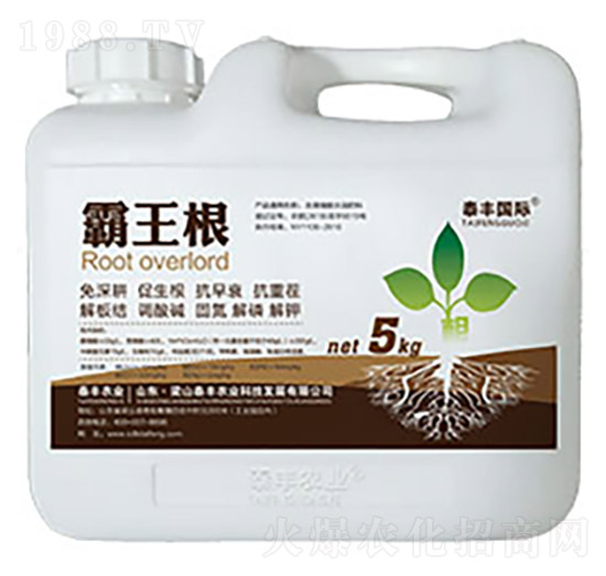 ������-��ɽ̩�S