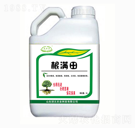 ���M��-���S��-�hԪ�r(n��ng)�I(y��)