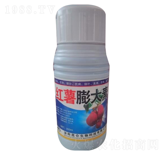 �t�������-��(��i)���_(d��)