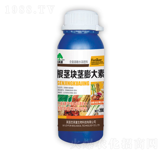 ���o�K�o�����-�|���S