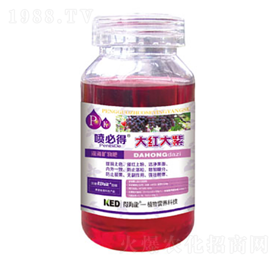 ��t����-���ص�-������