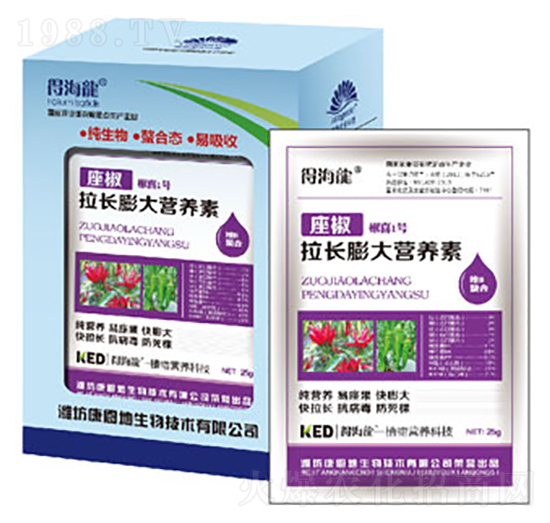 �������L(zh��ng)���I(y��ng)�B(y��ng)��-�ú���-������