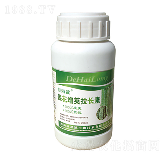 �������v���L��-�ú���-������