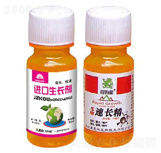 �M(j��n)�����L(zh��ng)��+���L(zh��ng)��-�ú���-������