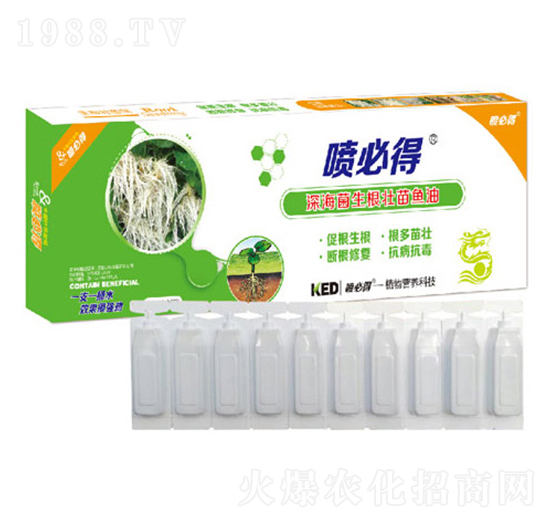 �����~��-���ص�-������