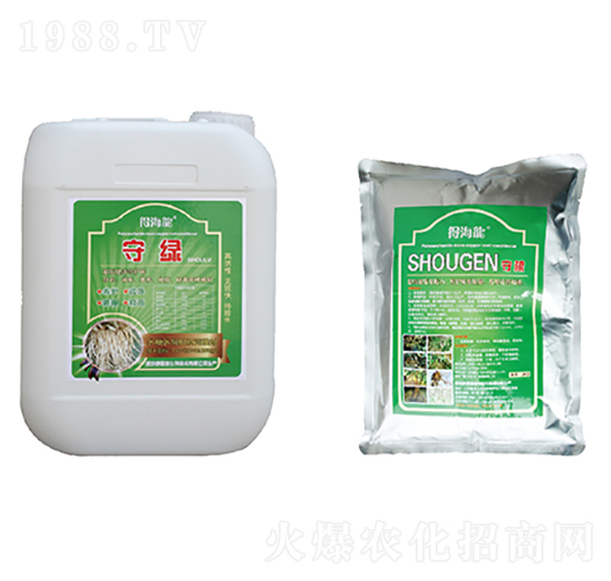 �ؾG���ظ�-�ú���-������