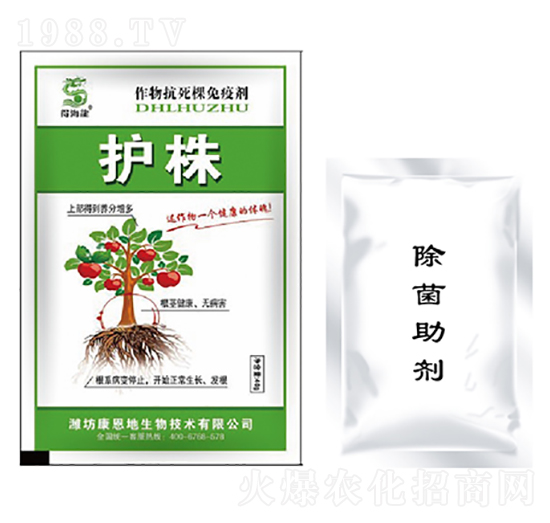 �o(h��)�꼰�M��-�ú���-������