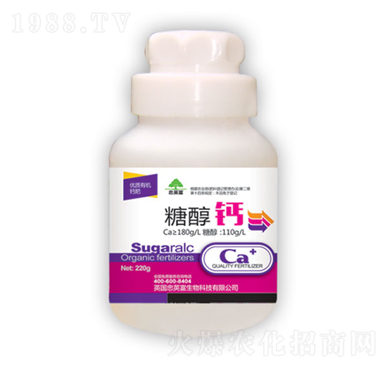 �Ǵ��}-�|���S