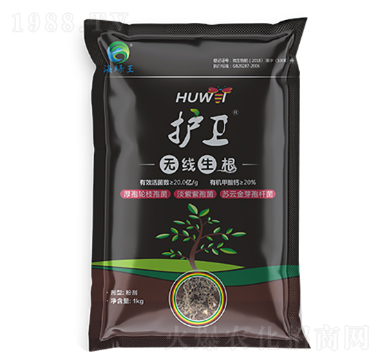 �o�l(w��i)���o������-���G��