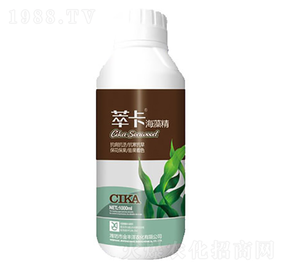 �Ϳ����徫-���S��