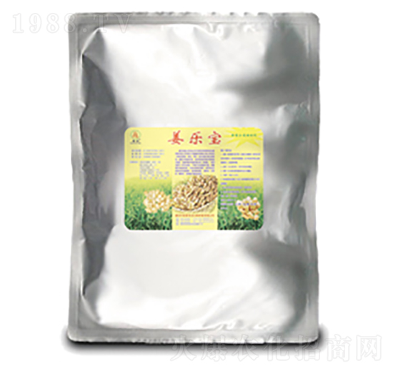 ����(l��)��-��(gu��)̩��