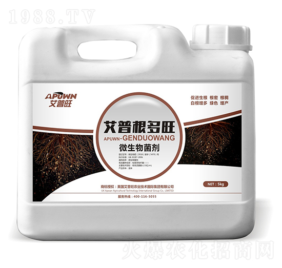 5kg΢�������-������-������