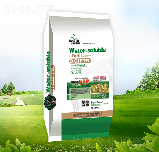 �󽪌�������-������