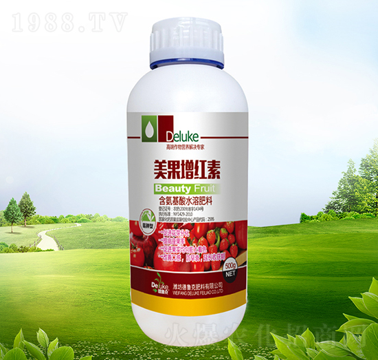 �������t��-������