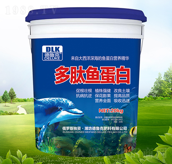 �����~(y��)����-������