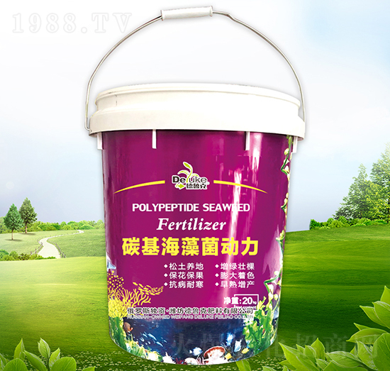 ̼���������(d��ng)��-������