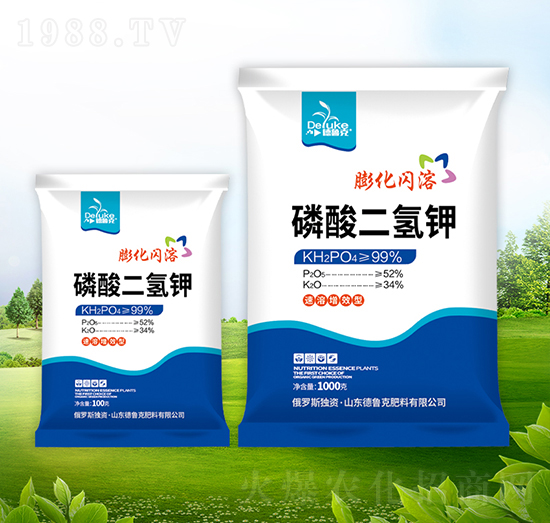 ��������-������