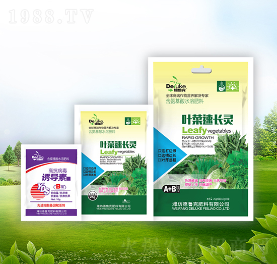 �~�����L(zh��ng)�`+�T��(d��o)��-������