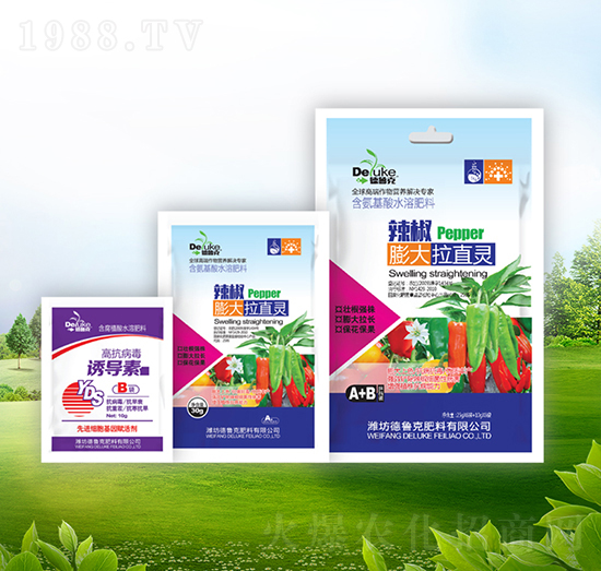 ���������ֱ�`+�T����-������