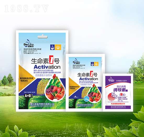 ������1̖+�T����-������