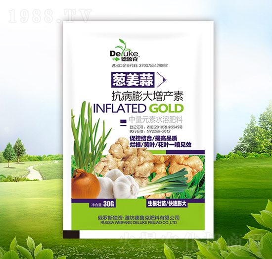 �[���⿹��������a��-������