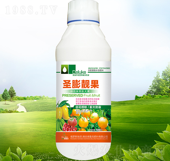 ʥ���n��-������