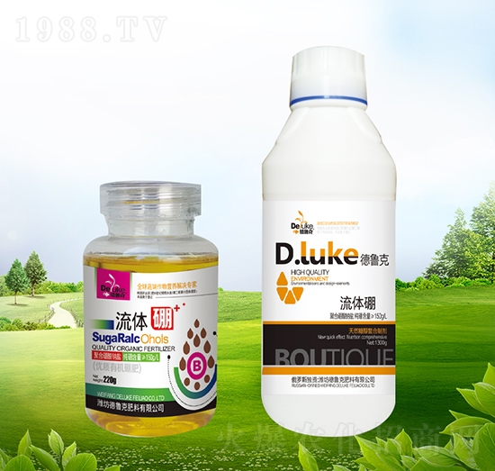 ���w��-������