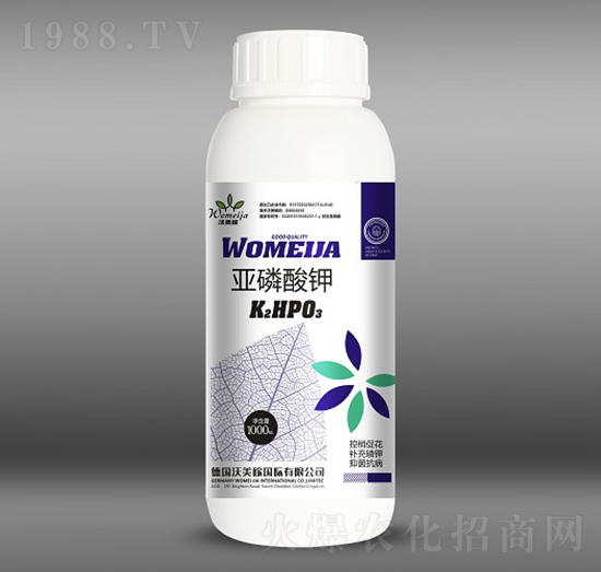 �������-������