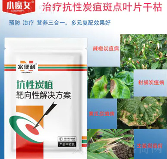 ����̿�Ұ����Խ�Q����-�r����-���н�