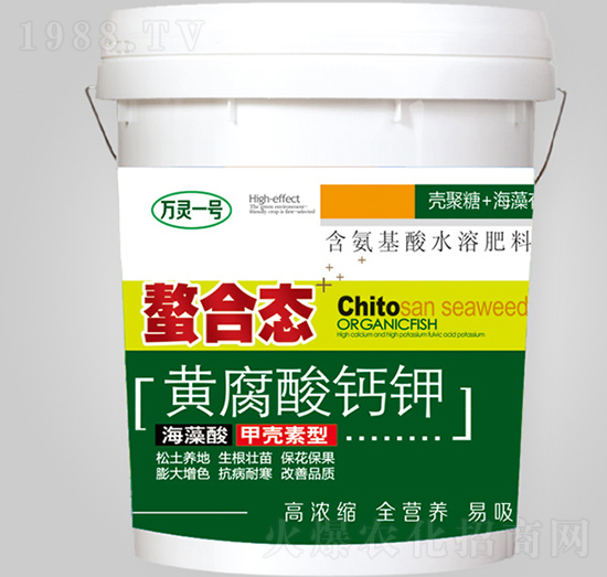 ���ϑB(t��i)�S�����-��ٝ