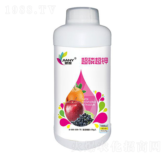 ��ӯ�����׳��-��ٝ