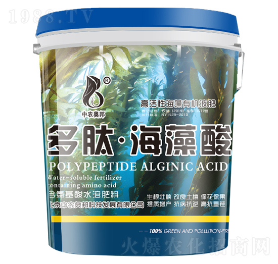 ���ġ�������-���r�W��