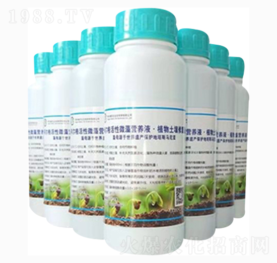 蔬菜、大棚微藻營養(yǎng)液·土壤改良液-阿爾格