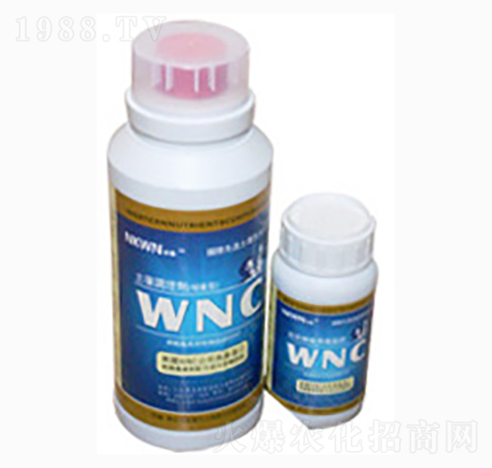 ֲ��I(y��ng)�B(y��ng)¶��ƿ��-�r(n��ng)������