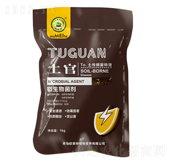 ����΢�������-�W����