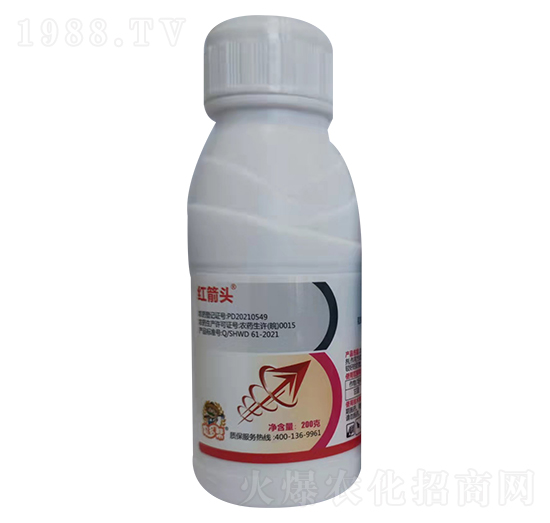 4.9%�׾Sʭ����-�t���^-�̎��r�I(y��)