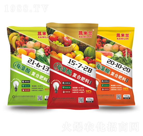 �������(f��)�Ϸ��Ϻ������(f��)�Ϸ�-�P���m-���r(n��ng)�м�