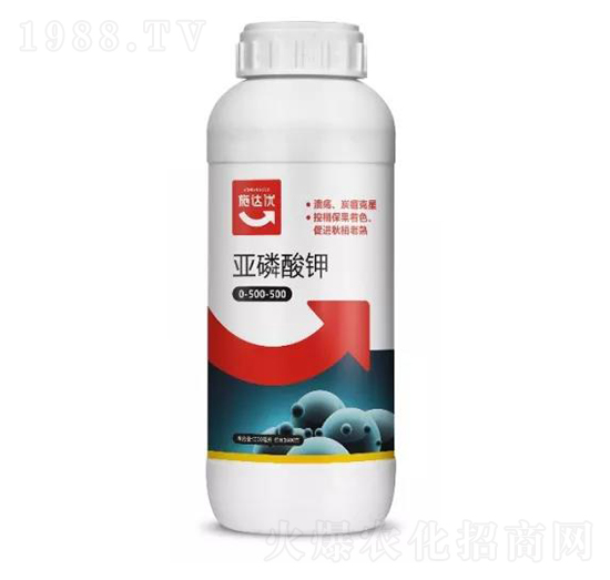 �������-ʩ�_(d��)��(y��u)