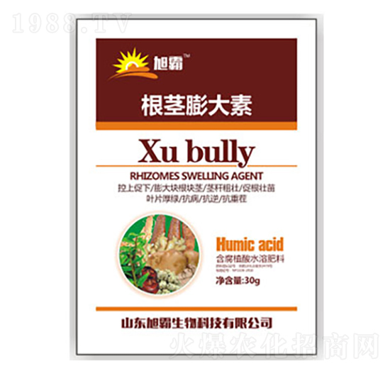 ���o�����-�������